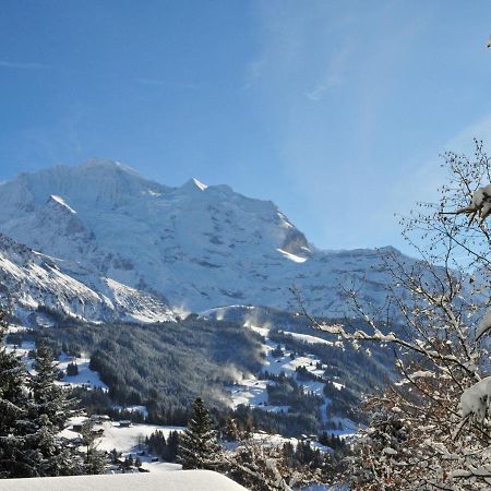 Apartment Bergfrieden By Interhome Wengen Exteriör bild